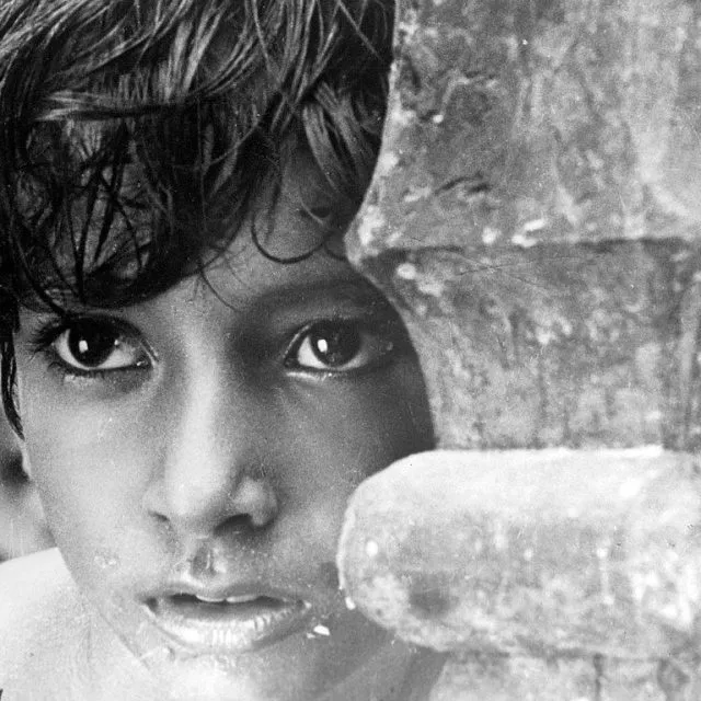 Satyajit Ray Season project image